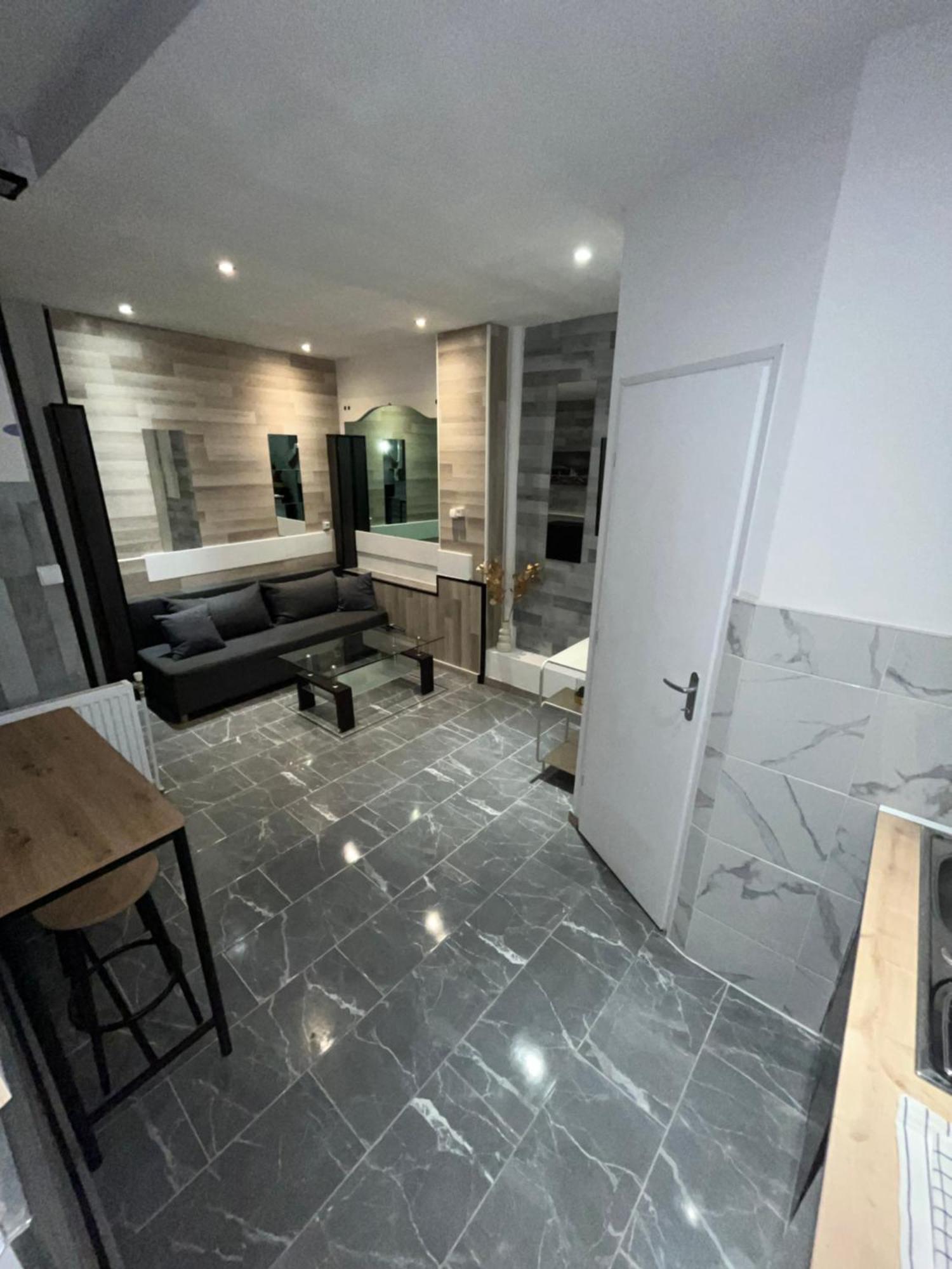 Appartement Moderne Centre Ville De Дижон Екстериор снимка