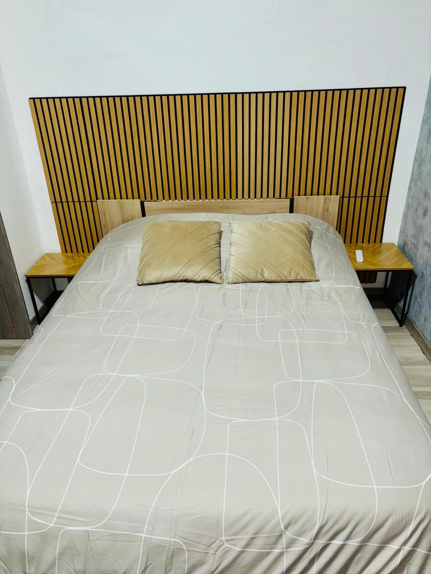 Appartement Moderne Centre Ville De Дижон Екстериор снимка