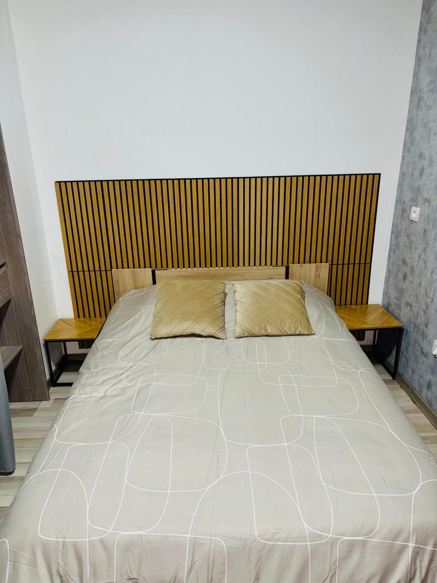 Appartement Moderne Centre Ville De Дижон Екстериор снимка