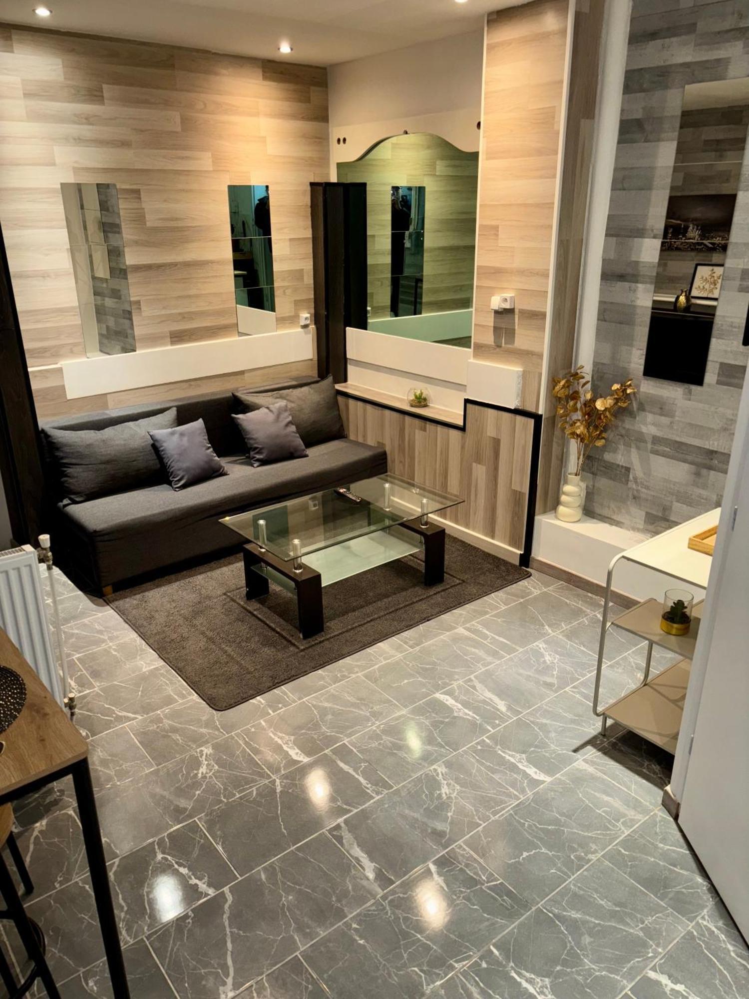 Appartement Moderne Centre Ville De Дижон Екстериор снимка