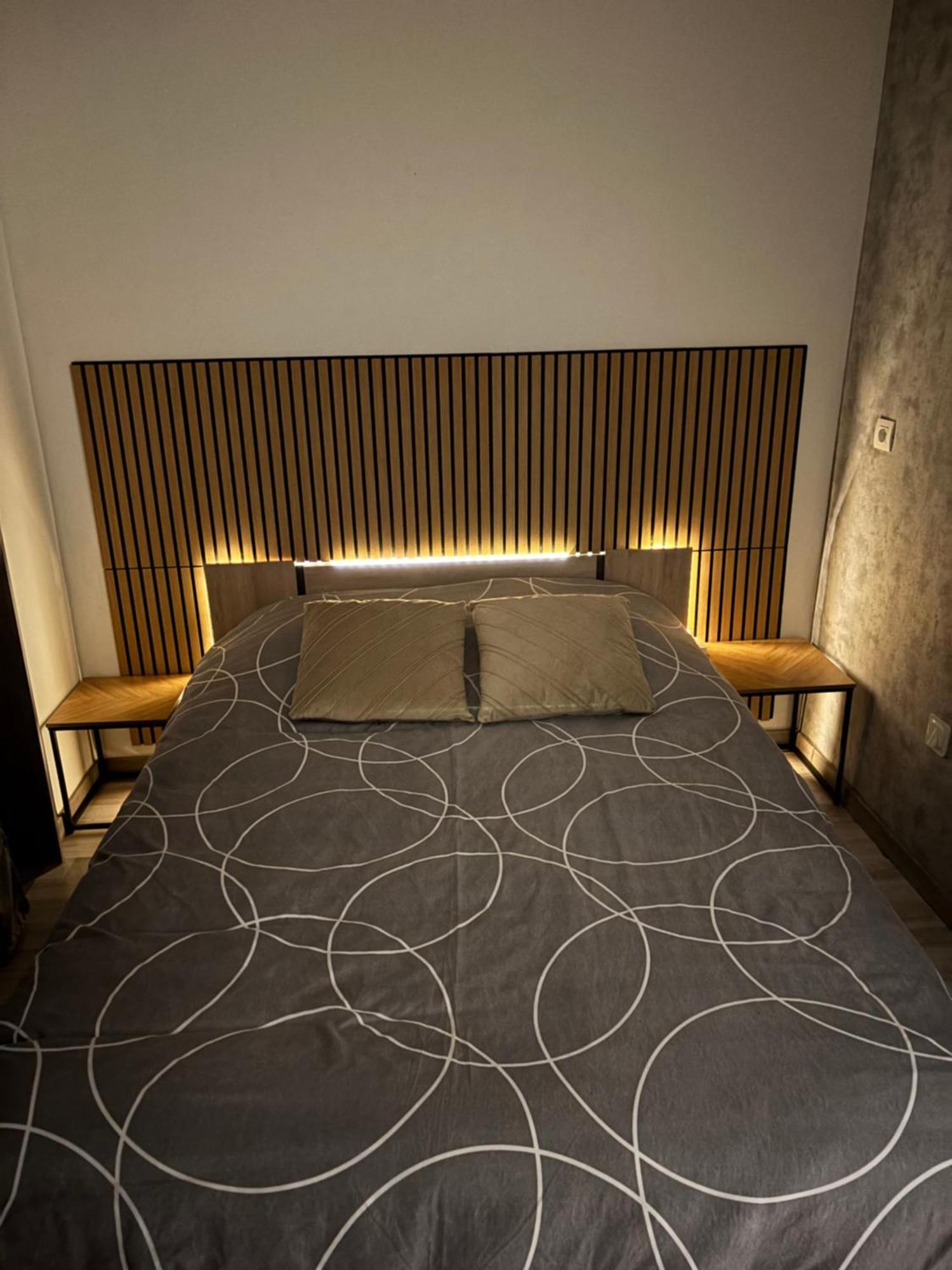 Appartement Moderne Centre Ville De Дижон Екстериор снимка
