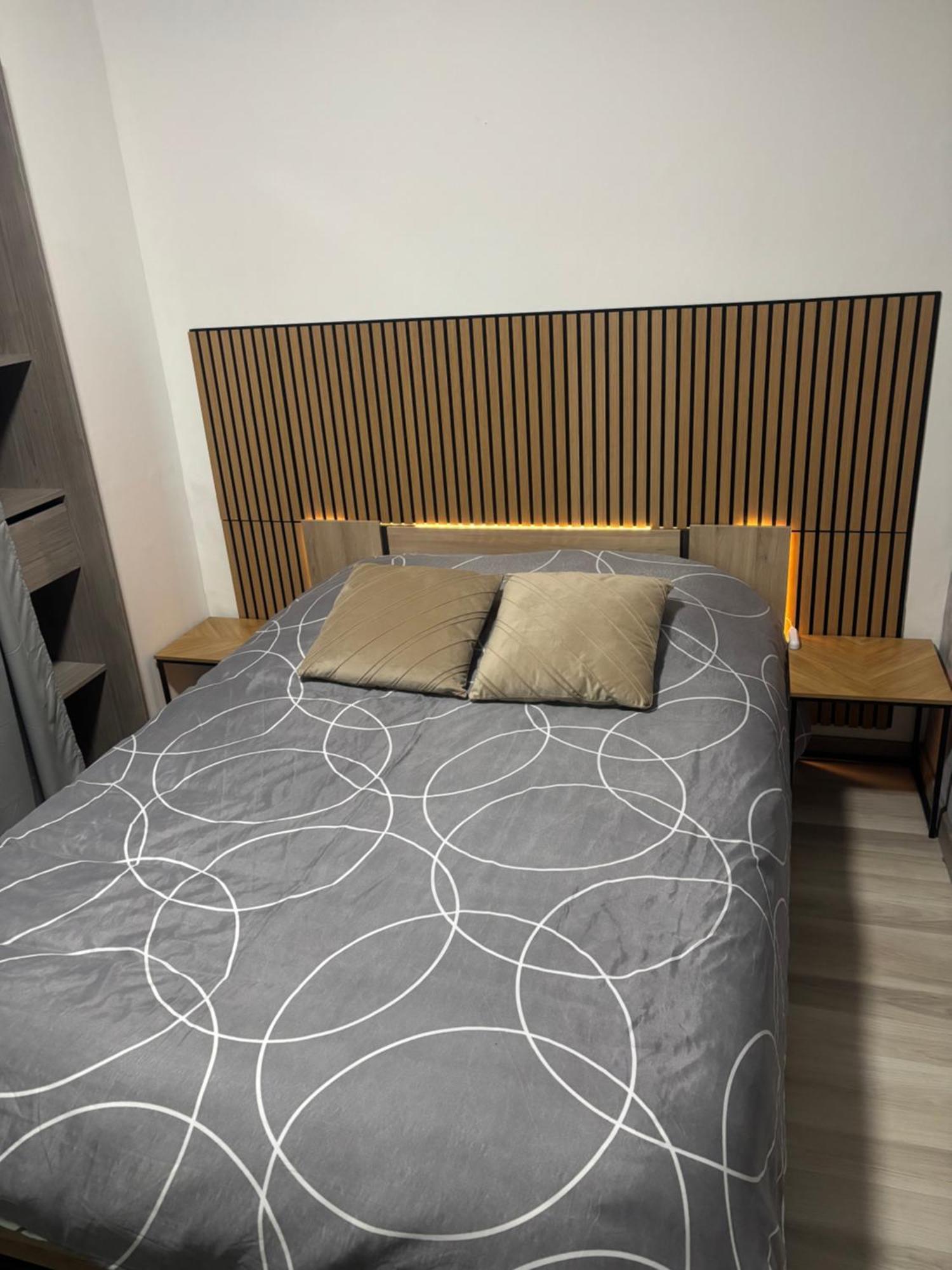 Appartement Moderne Centre Ville De Дижон Екстериор снимка